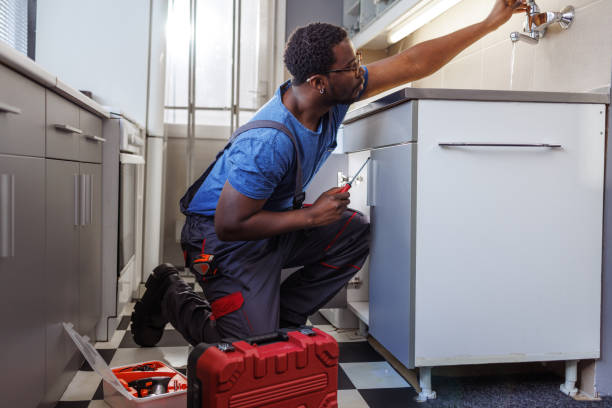 Best Commercial Plumbing Services  in Almont, MI